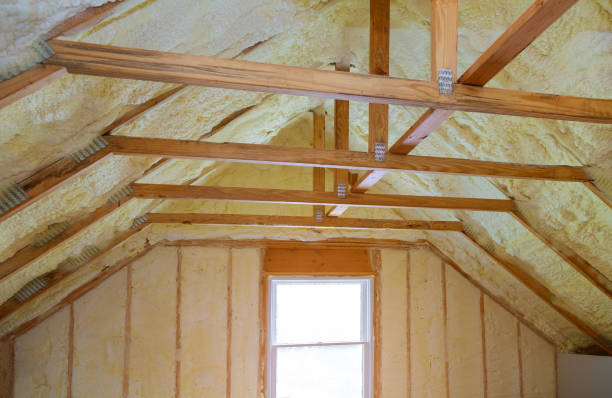 Best Blown-in Insulation  in Noel, MO