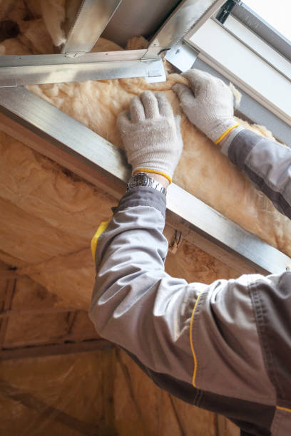 Best Attic Insulation Installation  in Noel, MO