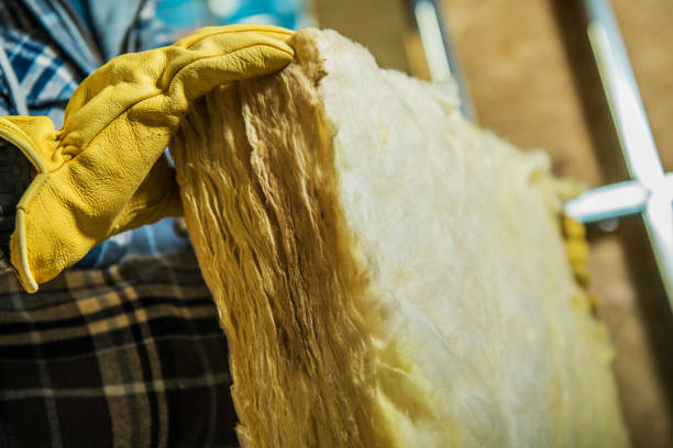 Best Crawl Space Insulation  in Noel, MO
