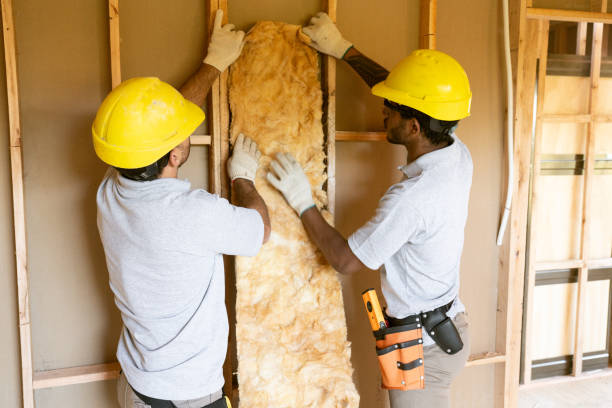 Best Residential Insulation Services  in Noel, MO