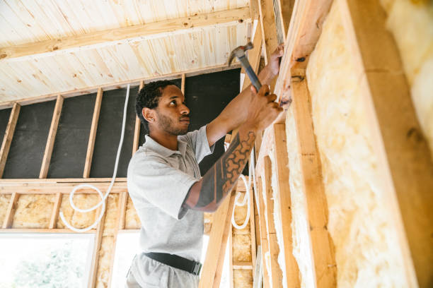 Best Insulation Removal  in Noel, MO