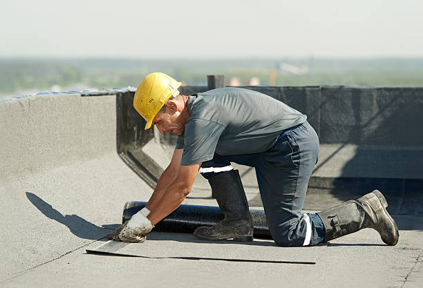 Best Insulation Contractor Near Me  in Noel, MO