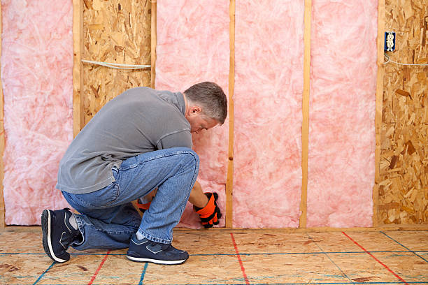 Best Insulation Replacement Services  in Noel, MO