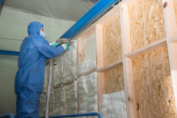 Best Insulation Inspection Services  in Noel, MO