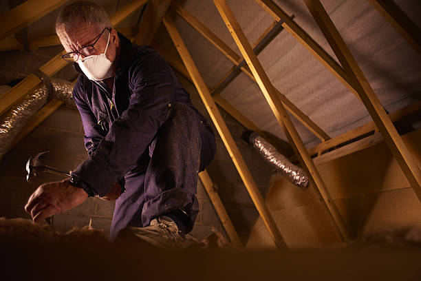 Best Cellulose Insulation  in Noel, MO