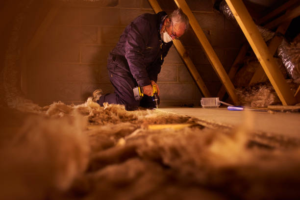 Insulation Repair Services in Noel, MO
